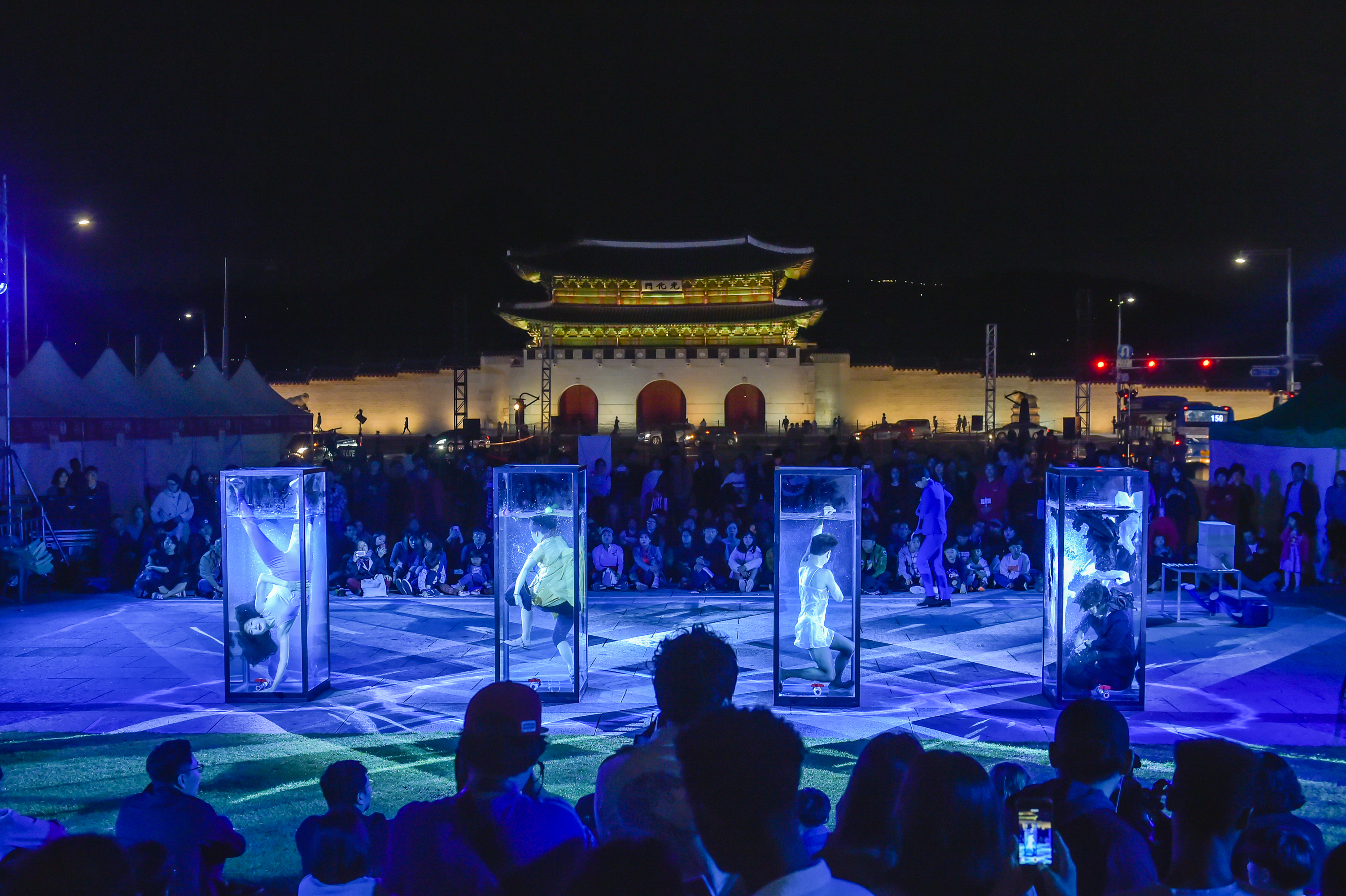 Elephants Laugh - MULJIL