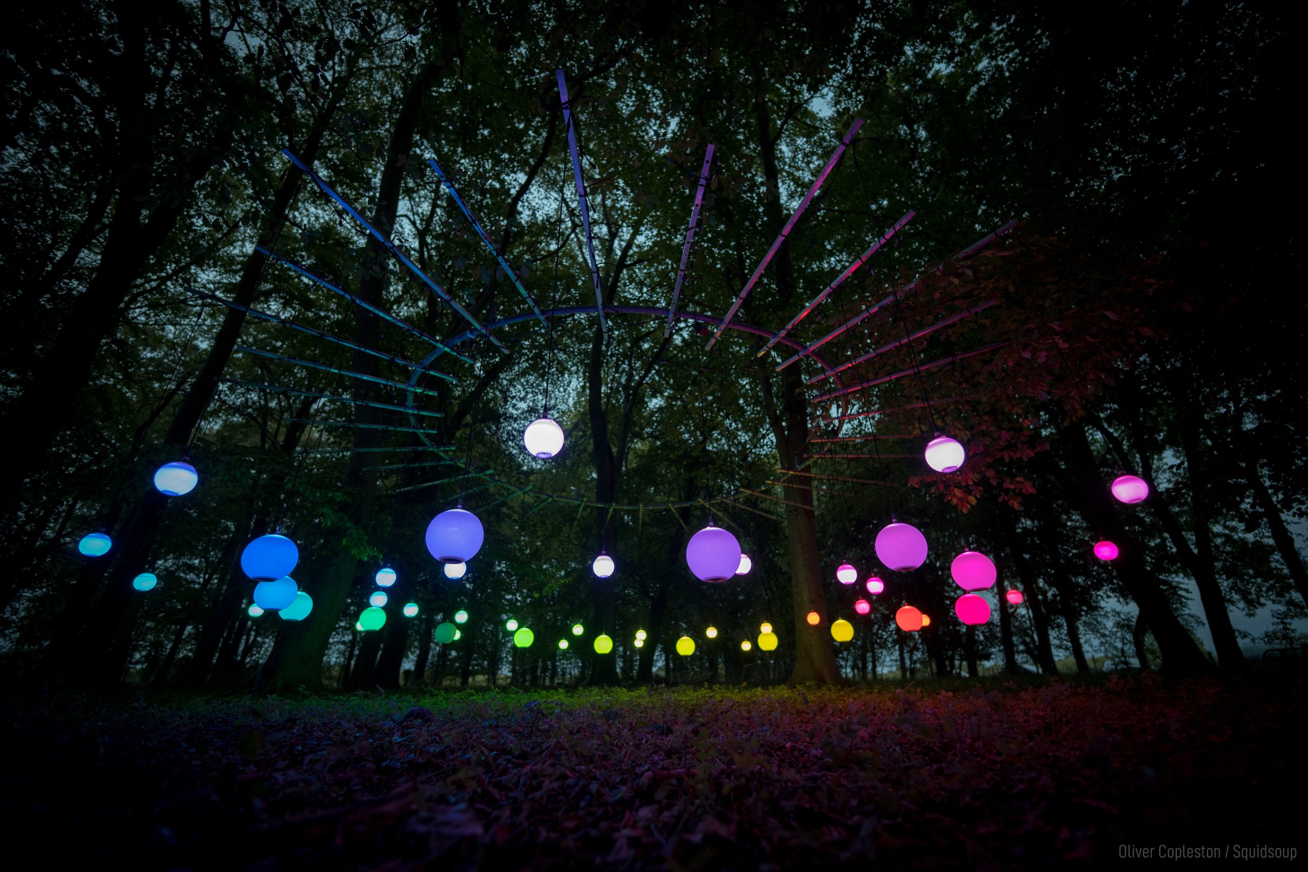 The Power of Art (Environmental Responsibility Showcase and Commission)